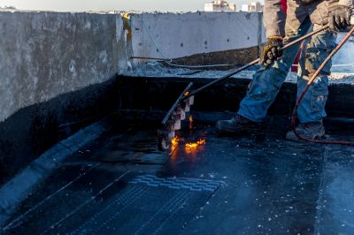 Local Roofing Experts